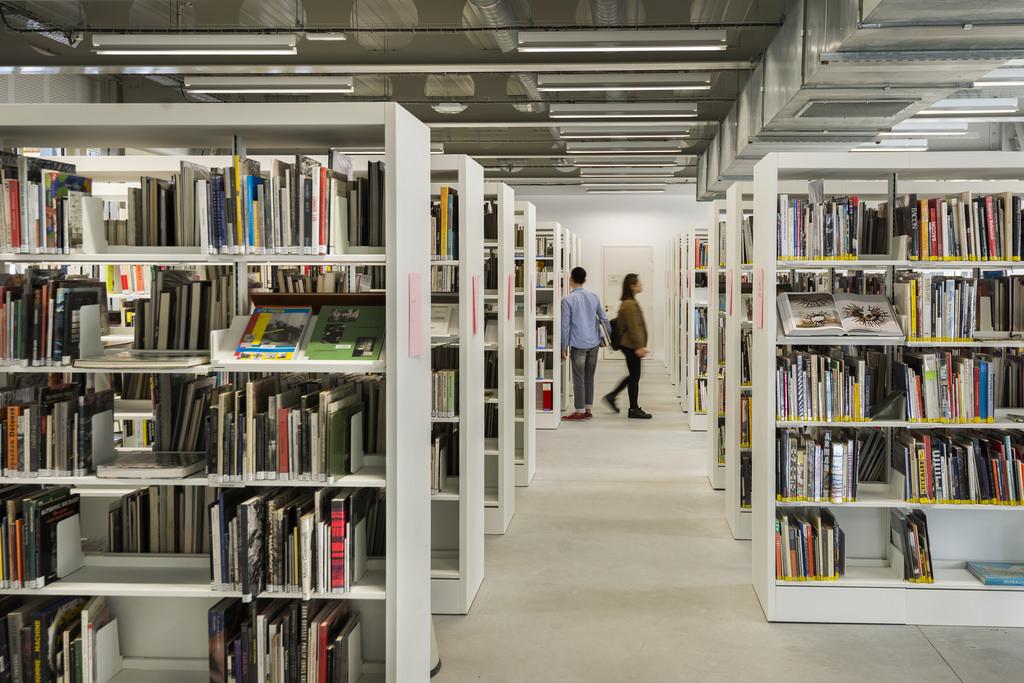 les collections de la bibliothèque