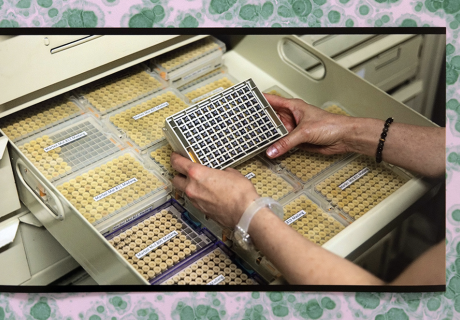 Biomimético-imago Caroline Reveillaud