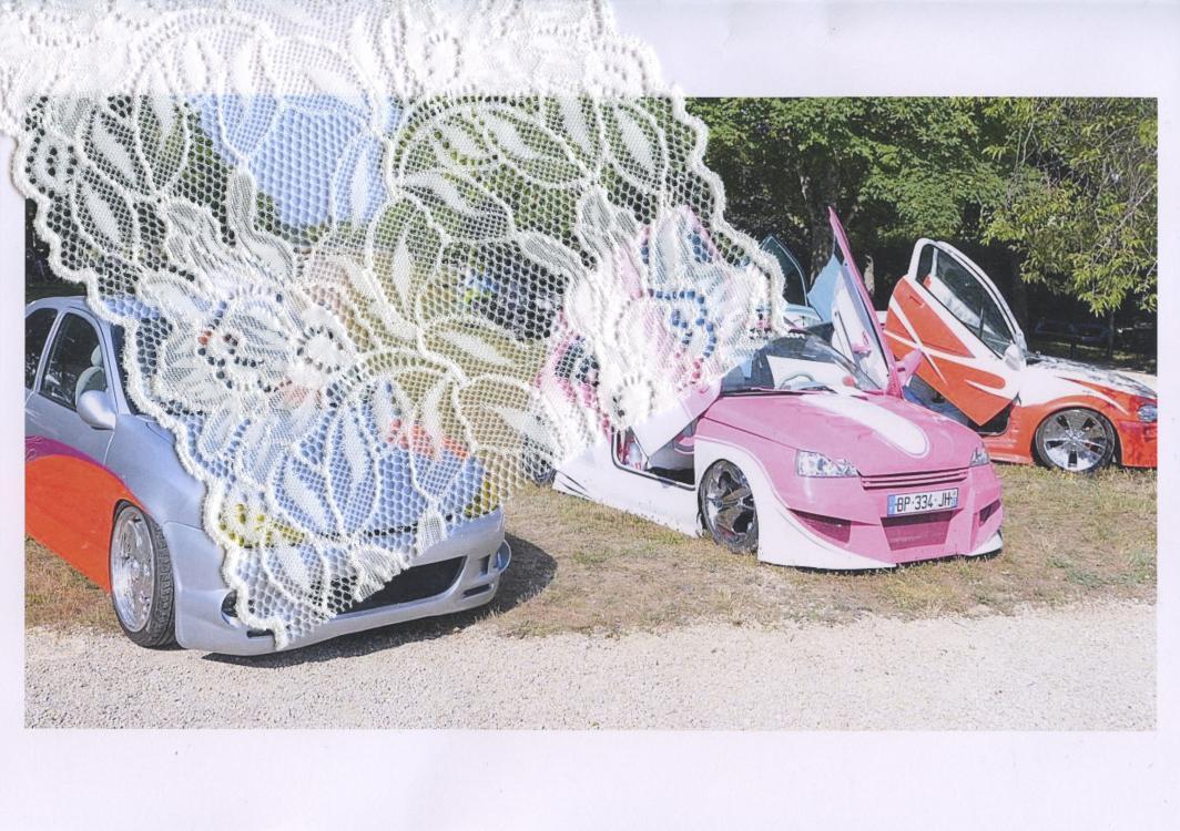 Image : Louise Guerraud, Parades ! Dis-Parades !