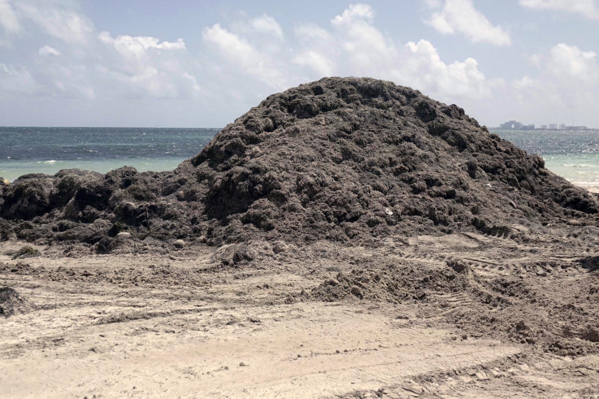 Elvia journée 11.12.25