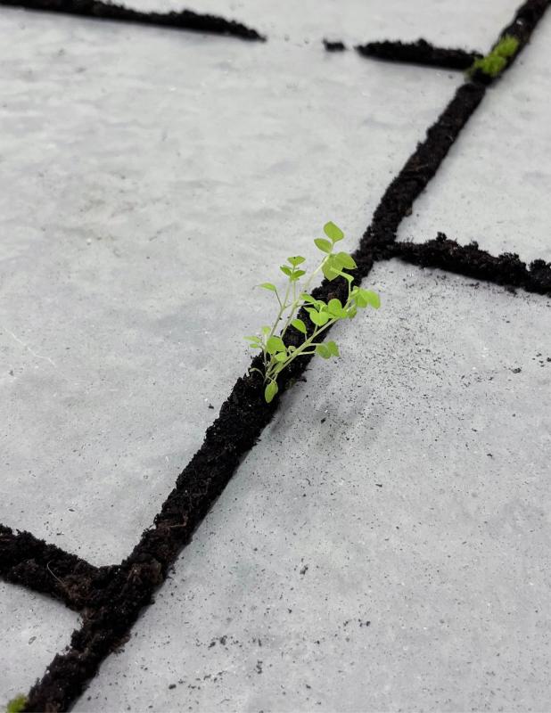 Toutes choses au monde 2026