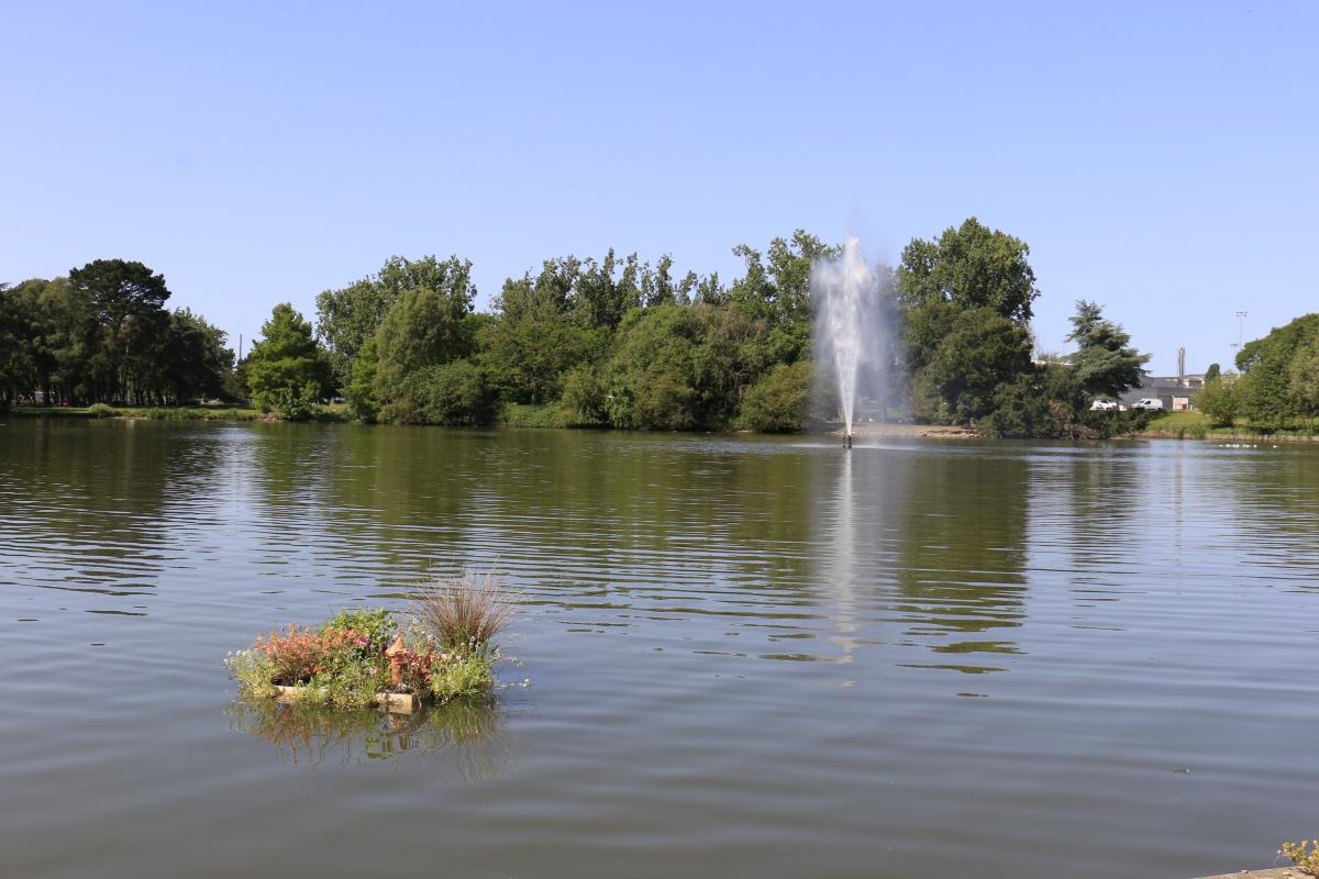 Projet Entre deux ciels avec les L1,L2- festival côté nature - Saint Nazaire