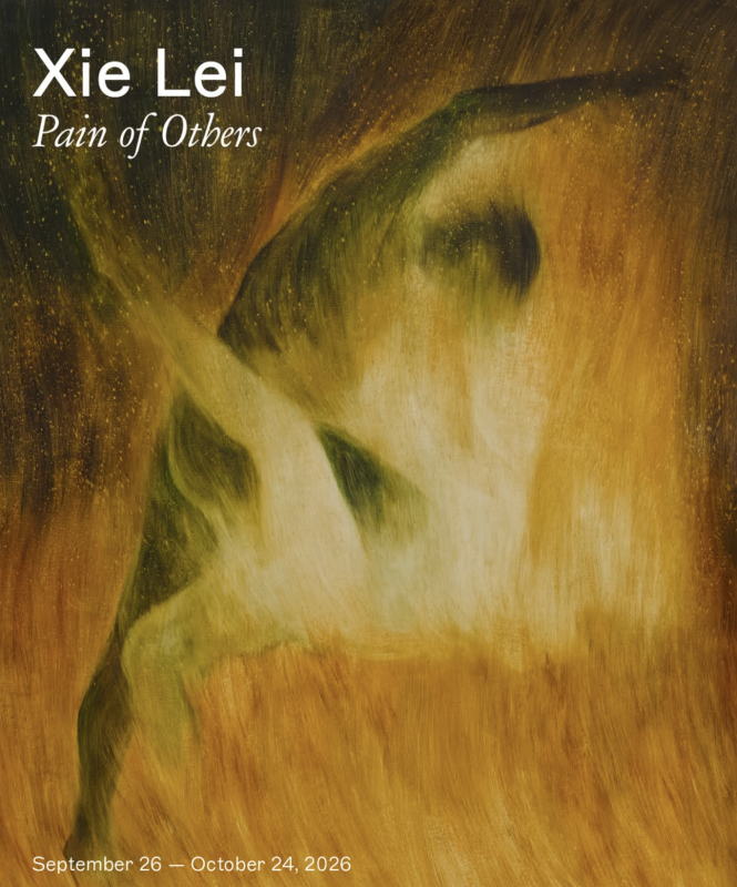 Xie Lei Pain of others