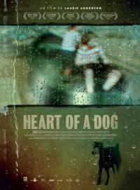 heart of a dog.