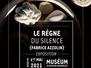 le règne du silence
