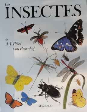 Les insectes