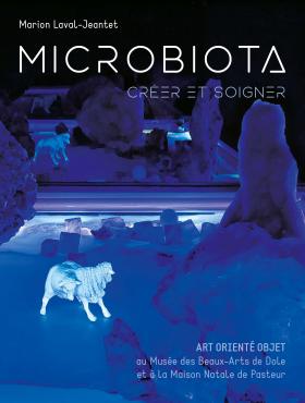 Microbiota créer et soigner Art orienté objet au musée des Beaux-Arts de Dole et à la maison natale de Pasteur