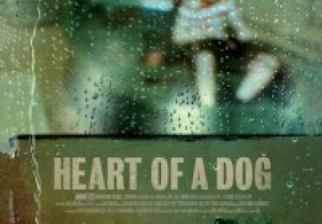 heart of a dog.