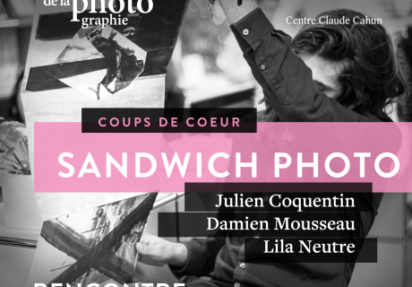swandich photo 25