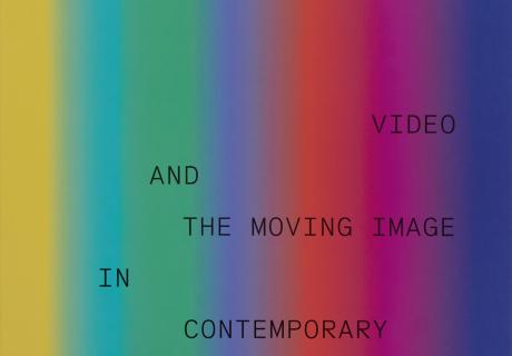 Vitamin V Video and the moving image in the contemporary art