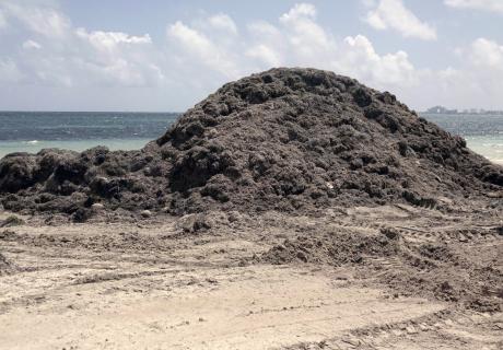 Elvia journée 11.12.25