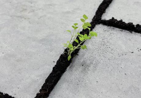 Toutes choses au monde 2026