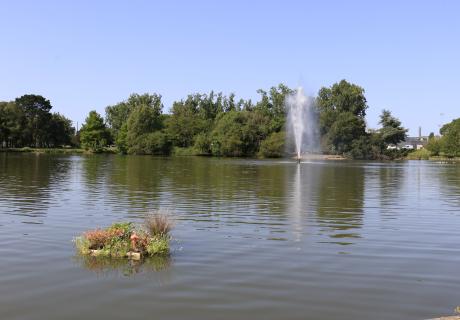 Projet Entre deux ciels avec les L1,L2- festival côté nature - Saint Nazaire